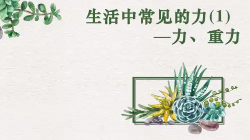 3.1生活中常见的力—力、重力-课件-高中物理沪科版必修第一册