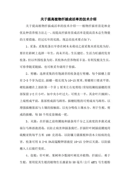 关于提高植物扦插成活率的技术介绍
