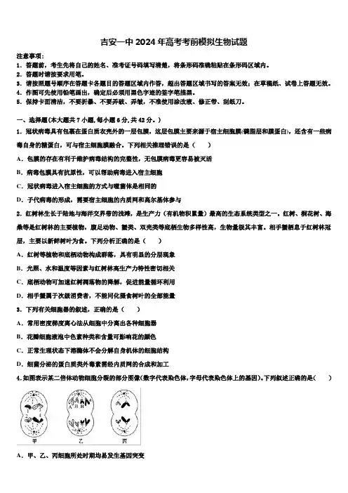吉安一中2024年高考考前模拟生物试题含解析