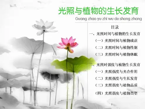植物生长与光照环境