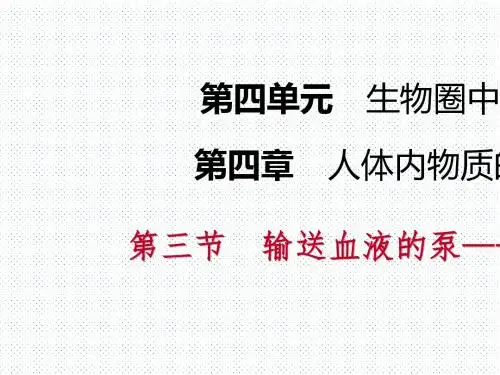人教版第四章第三节   第1课时 心脏的结构和功能导学课件(共15张PPT)