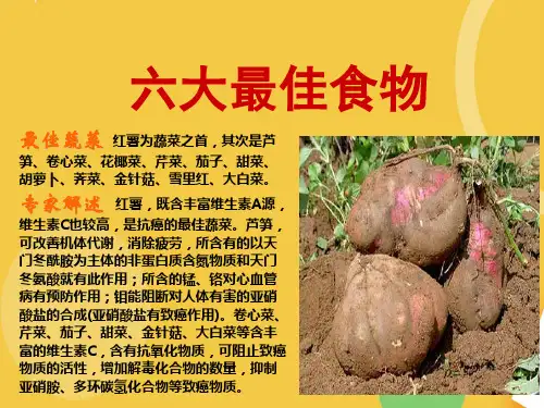 六大最佳食物优品ppt资料