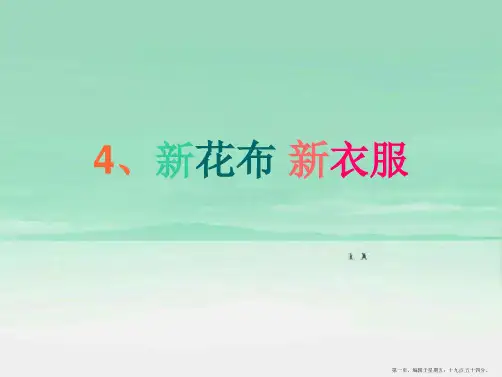 苏教小学美术一上《3新画布新花衣》PPT课件