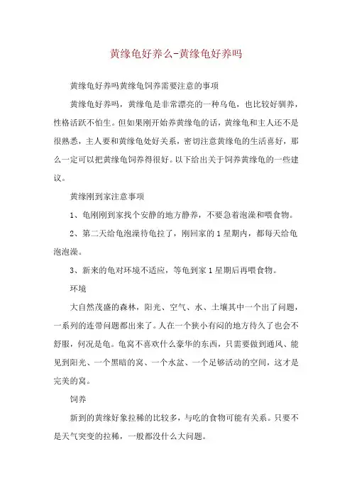 黄缘龟好养么-黄缘龟好养吗