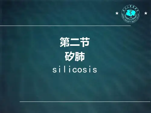 第4章 第2节 矽肺