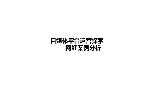 自媒体平台运营探索之网红案例分析(PPT 39页)