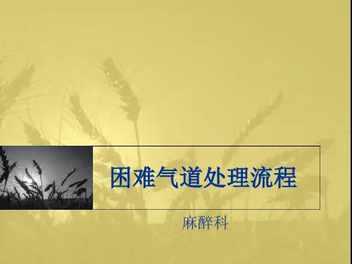 困难气道处理流程PPT..
