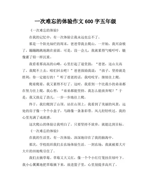 一次难忘的体验作文600字五年级