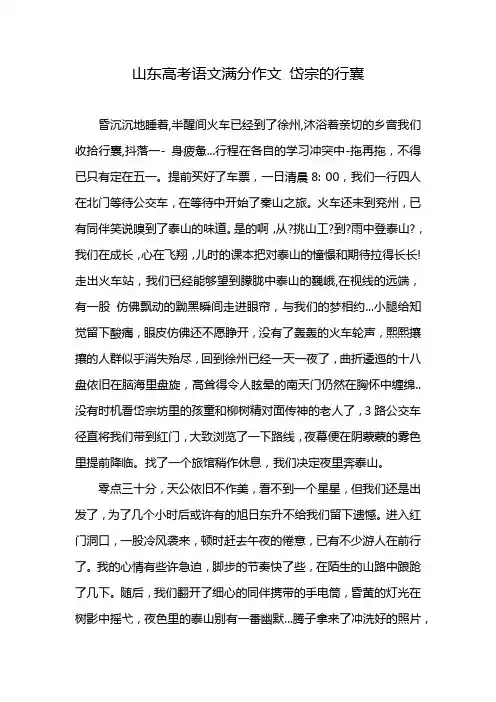 山东高考语文满分作文 岱宗的行囊