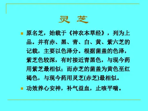名贵中药鉴别——灵芝