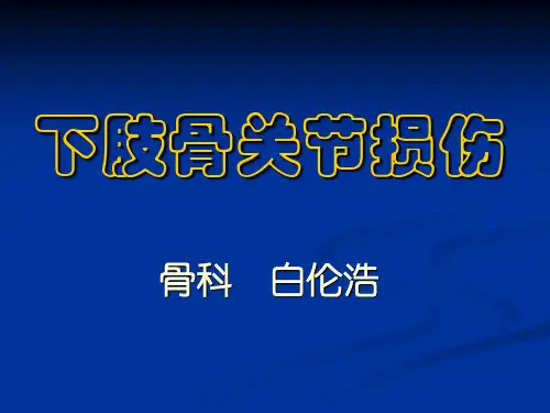 下肢骨关节损伤总结