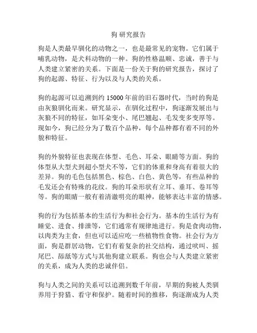 狗 研究报告