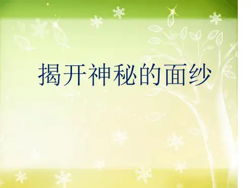 大象版四年级科学上册揭开神秘的面纱课件2
