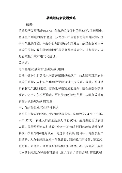 县域经济新发展策略.doc