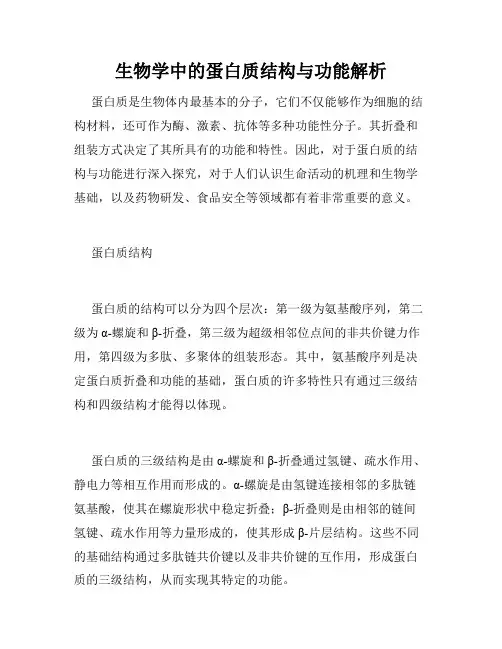 生物学中的蛋白质结构与功能解析