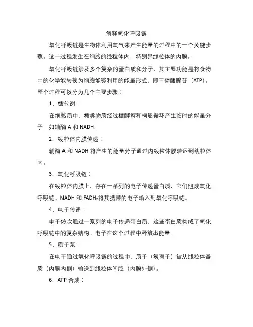 解释氧化呼吸链