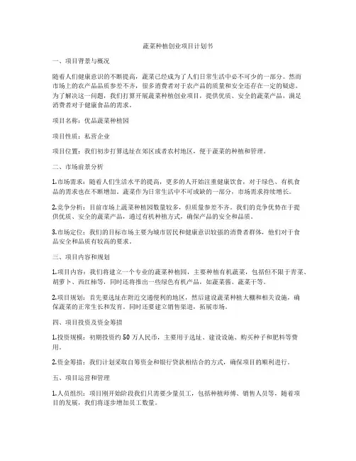 蔬菜种植创业项目计划书