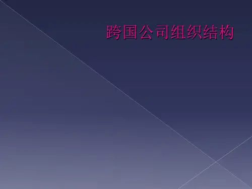 跨国公司组织结构