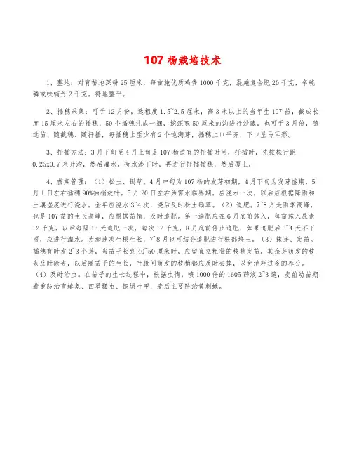 107杨栽培技术