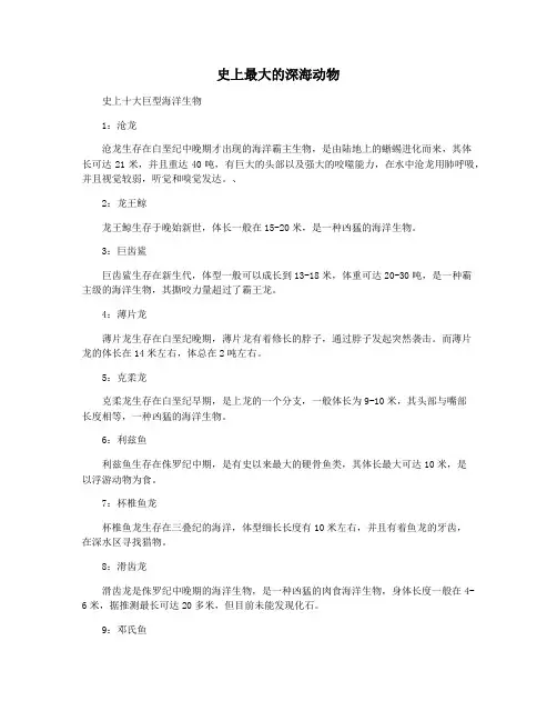 史上最大的深海动物
