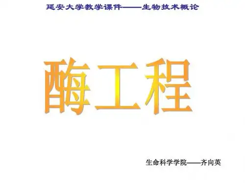 5第五章——酶工程