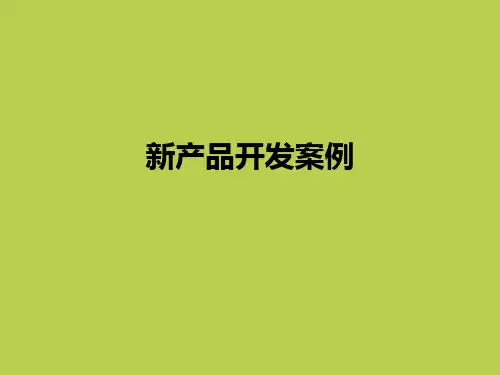 新产品开发案例ppt课件