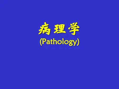 病理学课件—损伤的修复