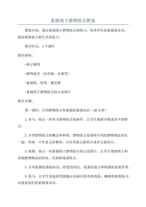 素描鸽子静物组合教案