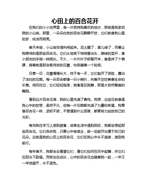 心田上的百合花开