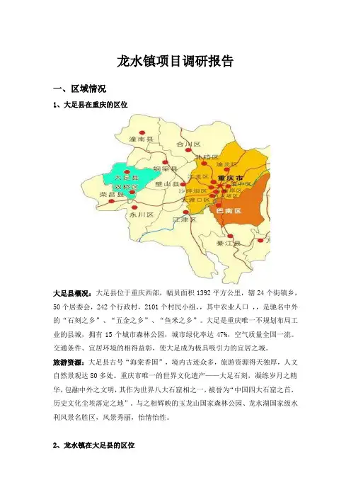重庆大足区龙水镇项目市调报告[管理资料]