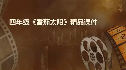 四年级《番茄太阳》课件