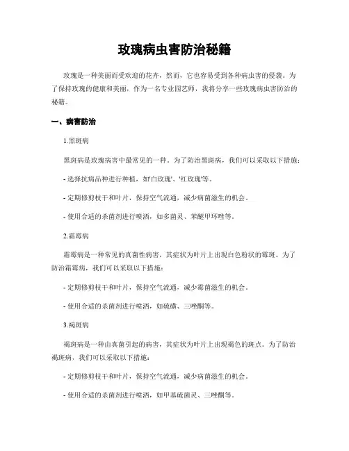 玫瑰病虫害防治秘籍