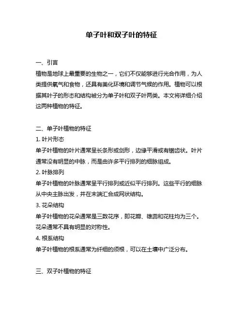 单子叶和双子叶的特征
