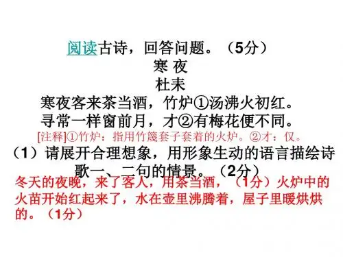 中考专题：古诗词鉴赏