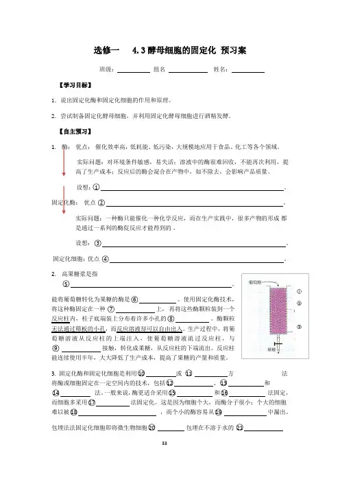 选修一 4.3 酵母细胞的固定化 导学案设计 (1)