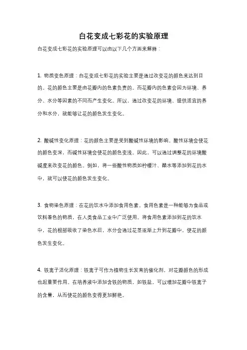 白花变成七彩花的实验原理