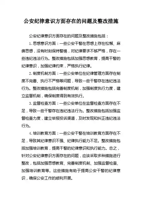 公安纪律意识方面存在的问题及整改措施