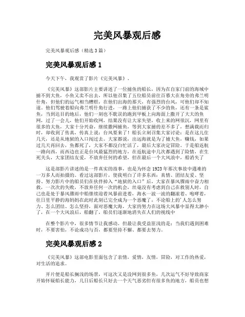 完美风暴观后感