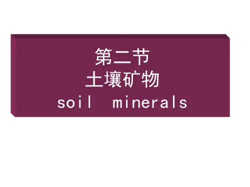 土壤学课件第二章土壤矿物质2