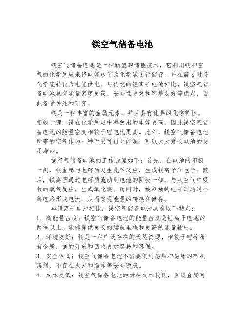 镁空气储备电池