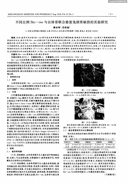 不同比例Bio-oss与自体骨联合修复兔颌骨缺损的实验研究