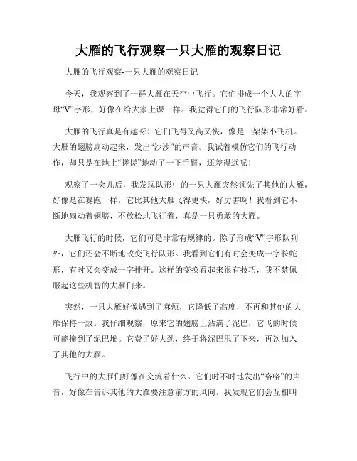 小学三年级作文大雁的飞行观察一只大雁的观察日记