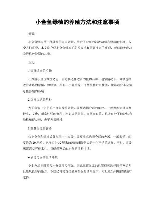 小金鱼绿植的养殖方法和注意事项