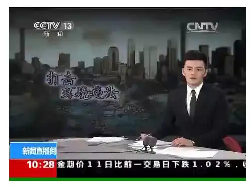 初中道德与法治_依法保护人类共有的家园教学课件设计