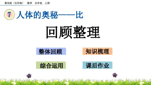 小数青岛版五四制五年级上册七人体的奥秘——比回顾整理课件