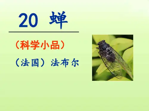第21课《蝉》课件(共39张ppt)++2022-2023学年部编版语文八年级上册
