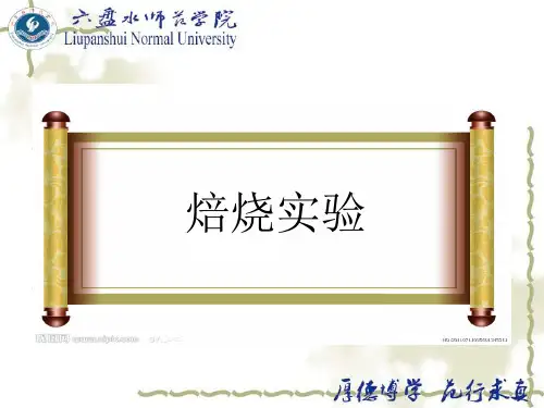 焙烧试验2