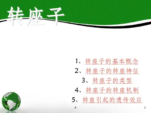 转座子类型