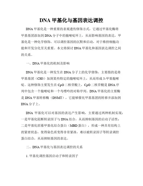 DNA甲基化与基因表达调控