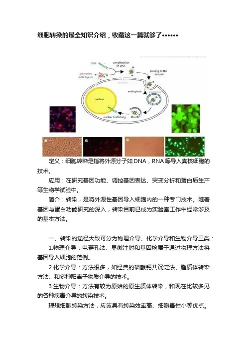 细胞转染的最全知识介绍，收藏这一篇就够了······